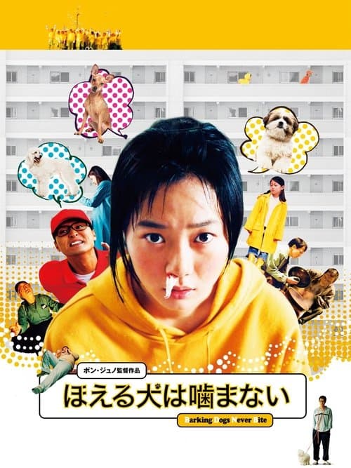 Director's Movie Image
