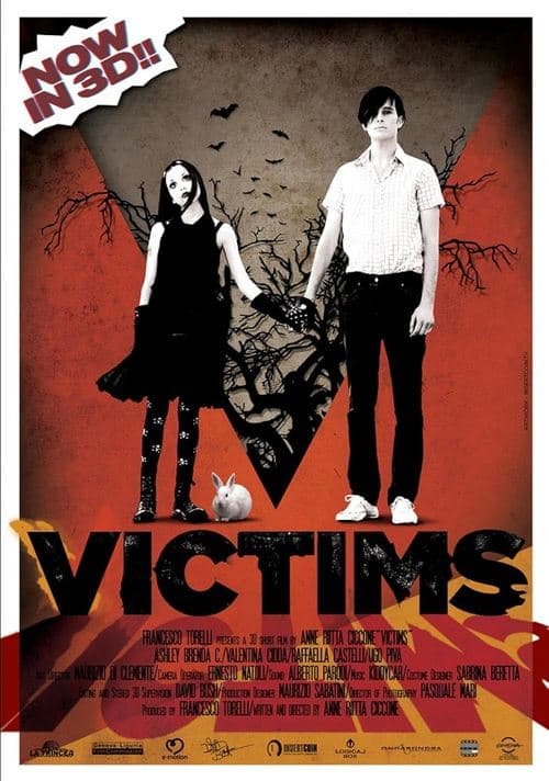 Director's Movie Image