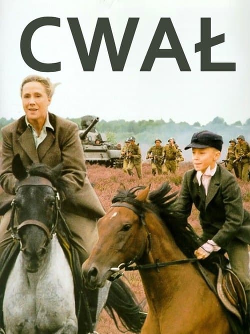 Director's Movie Image