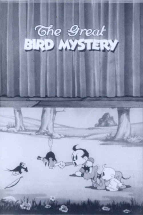 Director's Movie Image