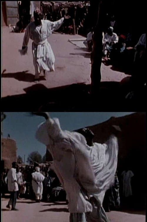 Director's Movie Image