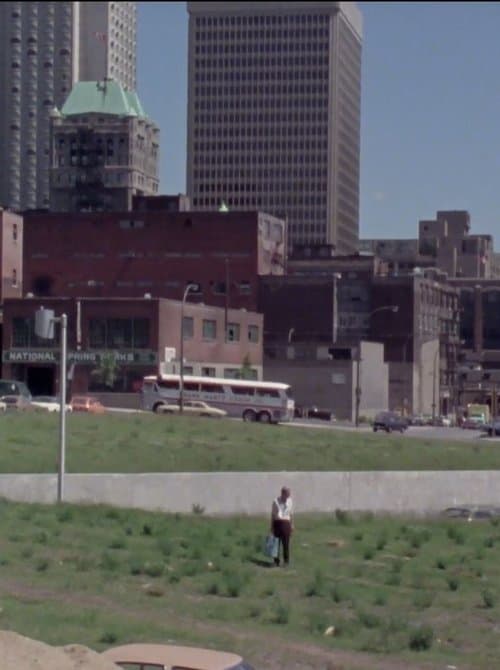 Director's Movie Image