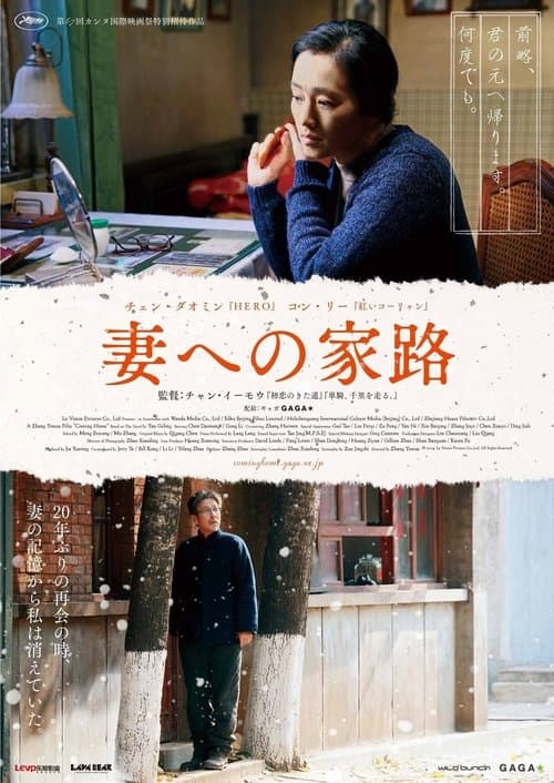 Director's Movie Image
