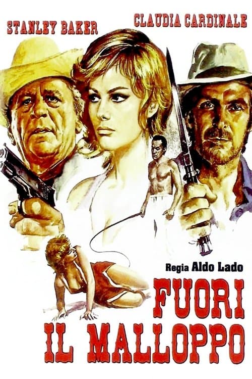 Director's Movie Image