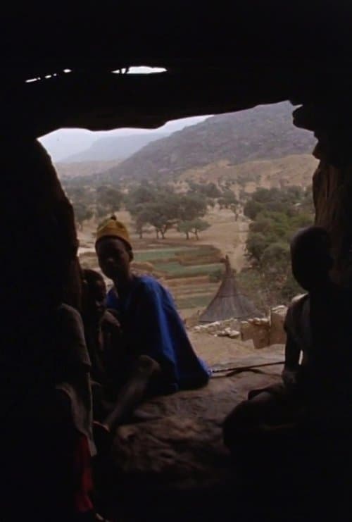 Director's Movie Image