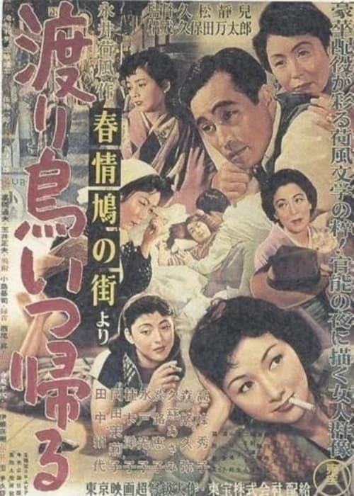 Director's Movie Image