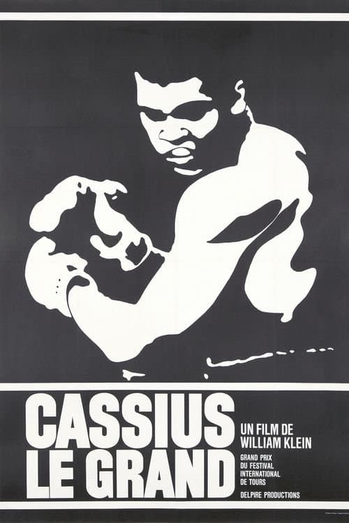 Director's Movie Image
