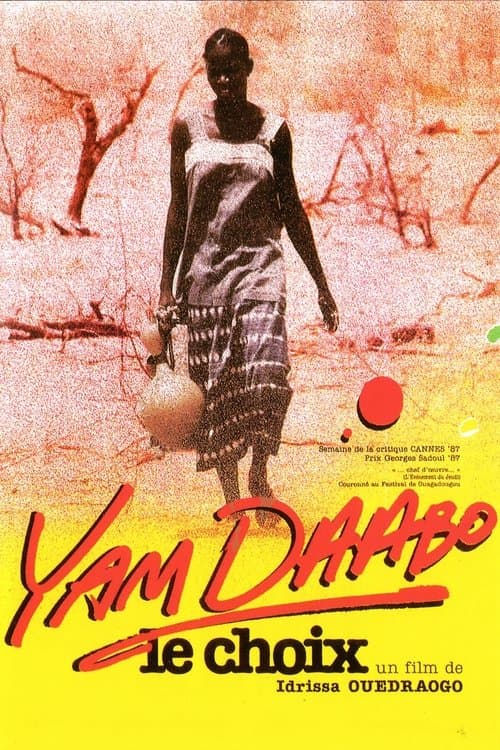 Director's Movie Image