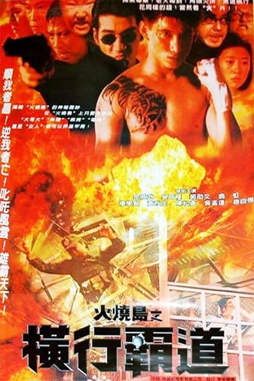 Director's Movie Image