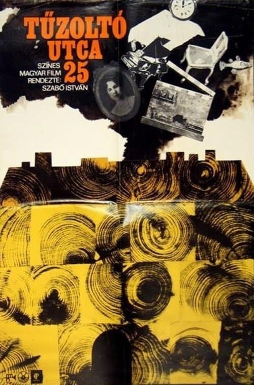 Director's Movie Image