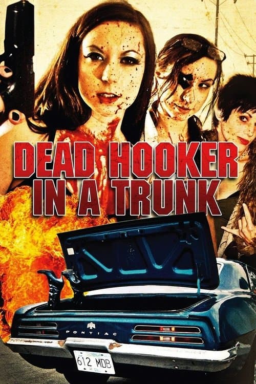 Director's Movie Image