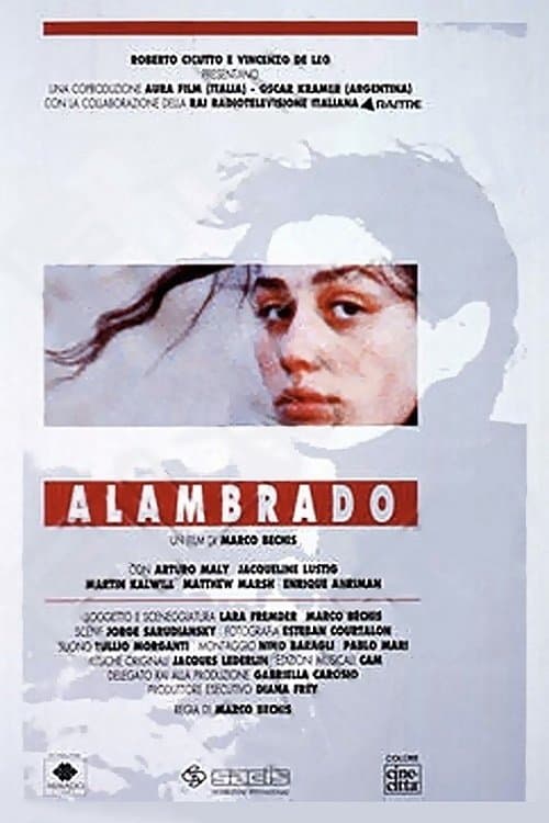 Director's Movie Image