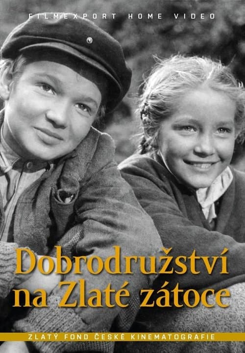 Director's Movie Image