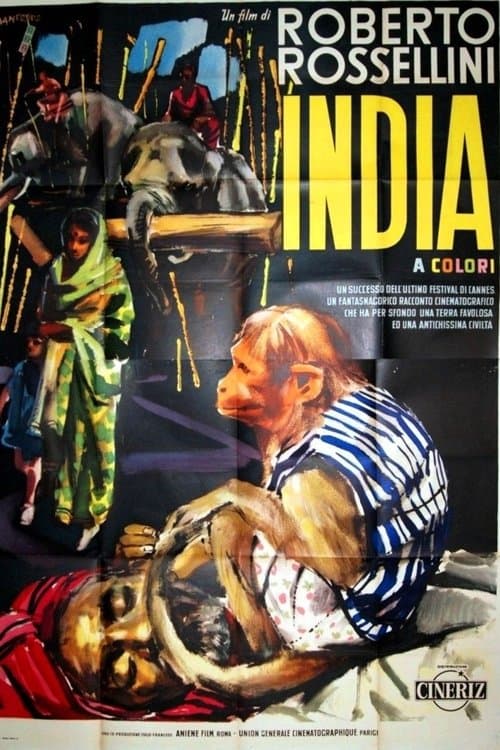 Director's Movie Image
