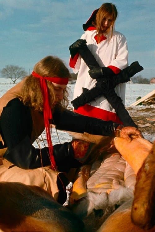 Director's Movie Image