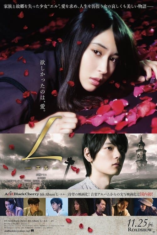 Director's Movie Image