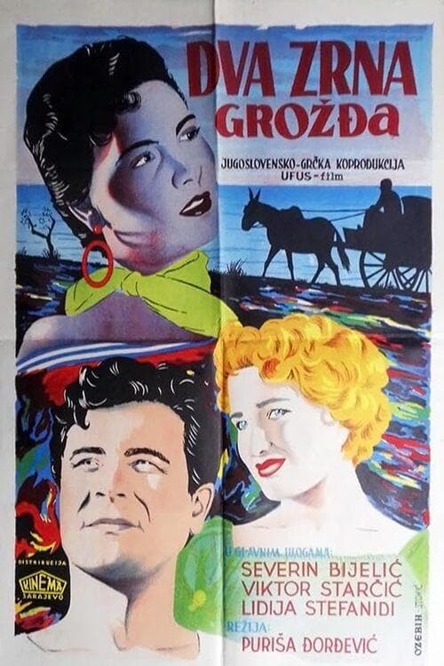 Director's Movie Image