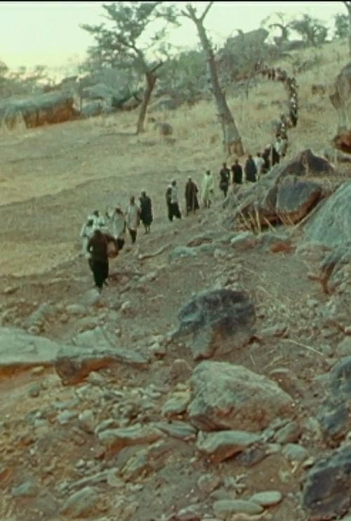 Director's Movie Image