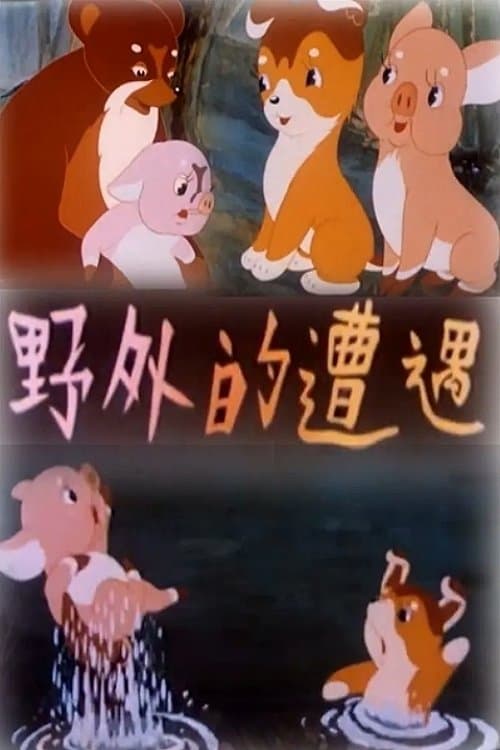 Director's Movie Image