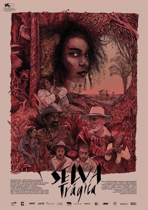 Director's Movie Image