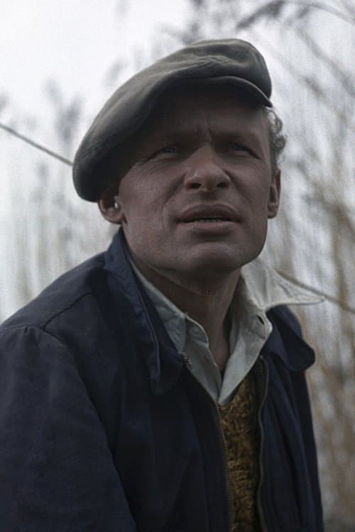 Cast's Movie Image