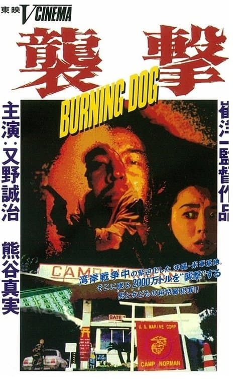 Director's Movie Image