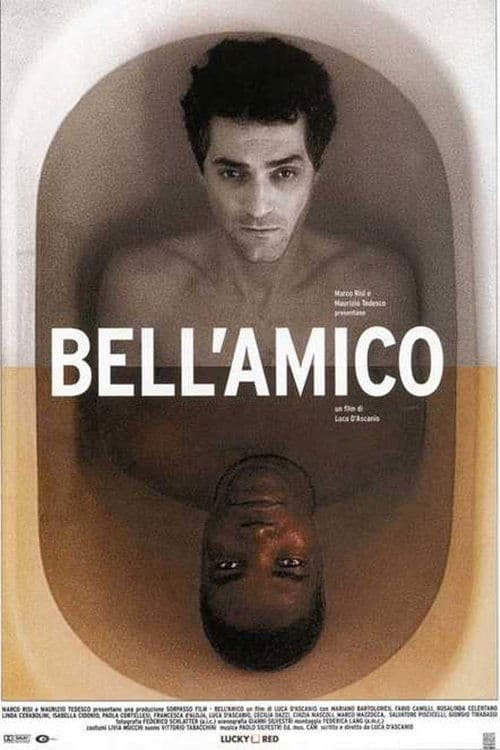 Director's Movie Image