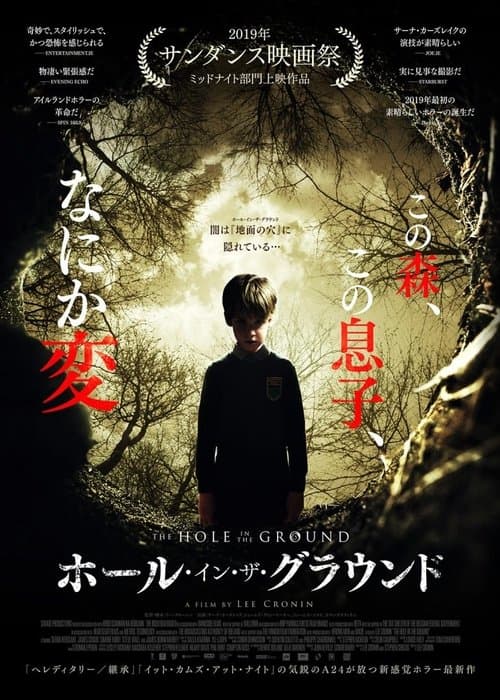 Director's Movie Image