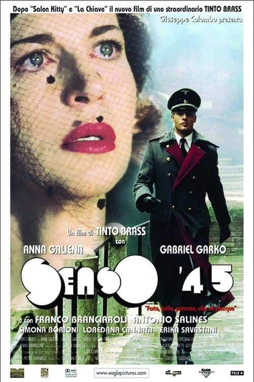 Director's Movie Image