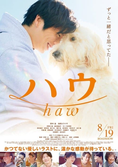 Director's Movie Image