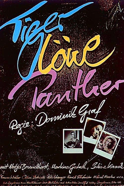 Director's Movie Image