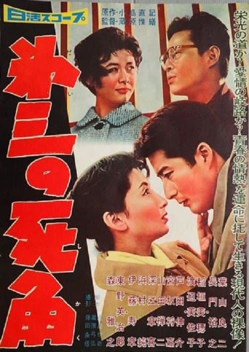 Director's Movie Image