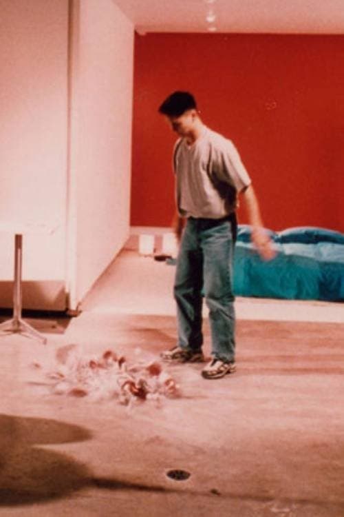Director's Movie Image