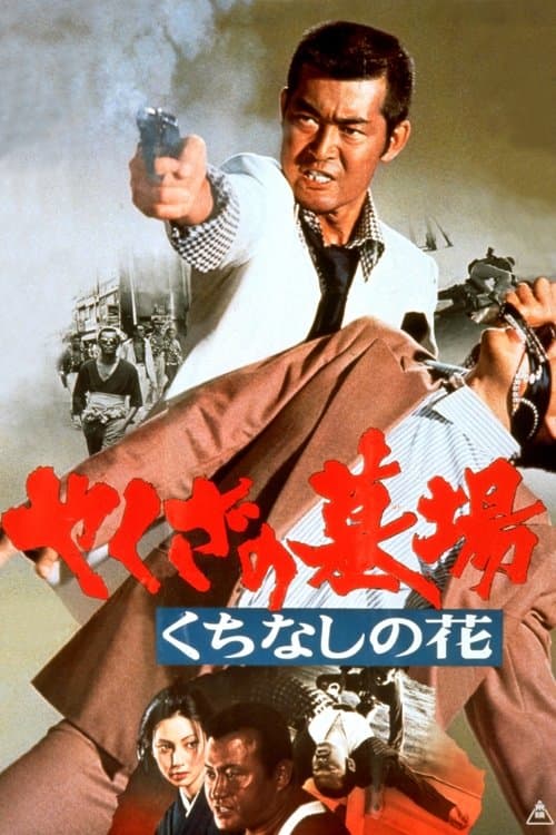 Director's Movie Image