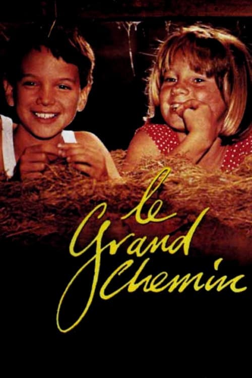Director's Movie Image