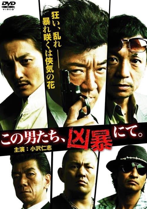 Director's Movie Image