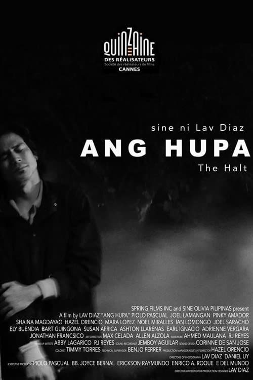 Director's Movie Image