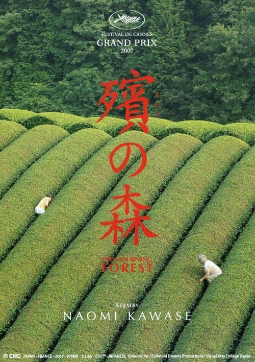 Director's Movie Image