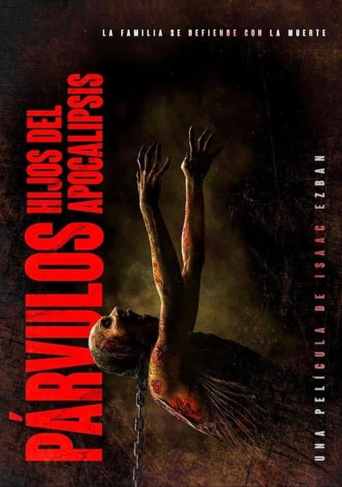 Director's Movie Image