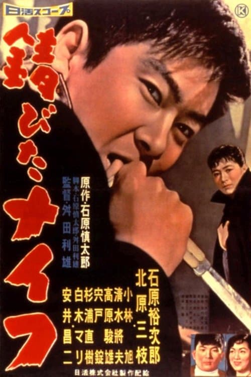 Director's Movie Image