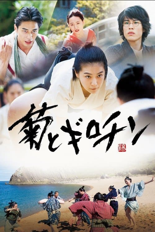 Director's Movie Image