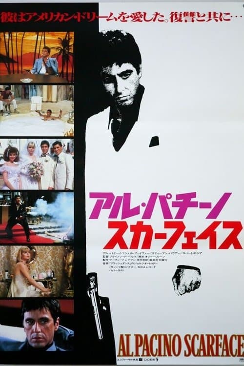 Director's Movie Image