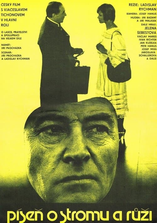 Director's Movie Image