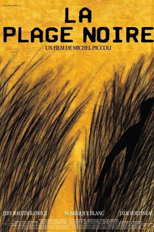Director's Movie Image