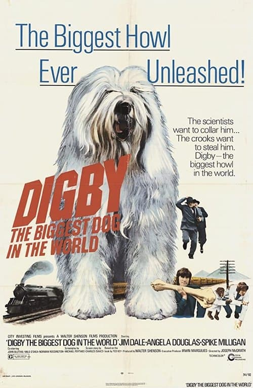 Director's Movie Image