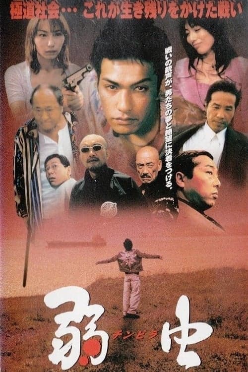 Director's Movie Image