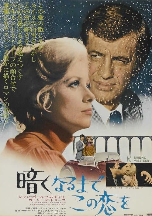 Director's Movie Image