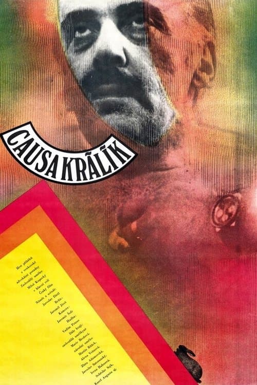 Director's Movie Image