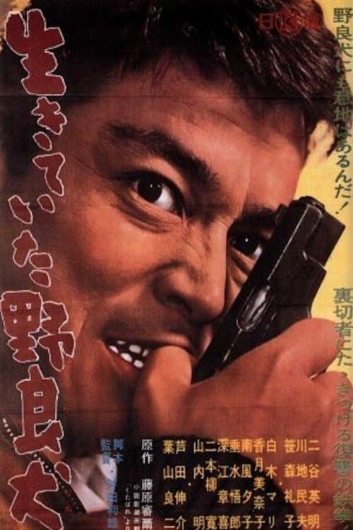 Director's Movie Image