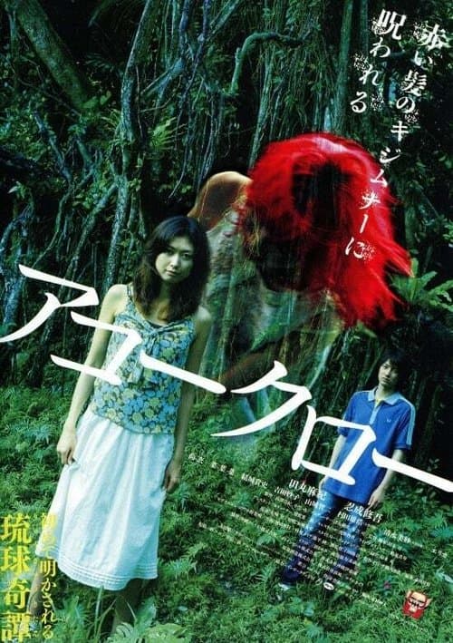 Director's Movie Image